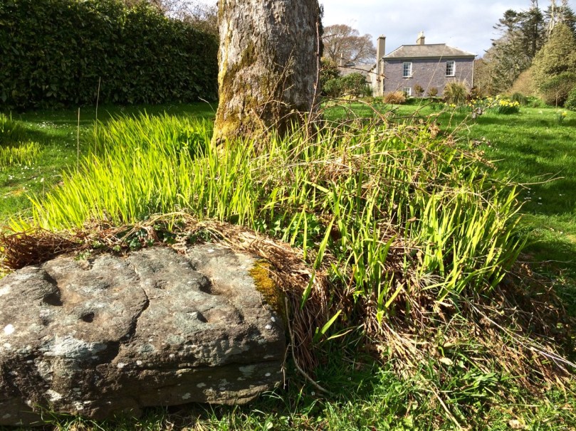 Drishane Cupmarked Stone. In other counties, this would be recorded as Rock art