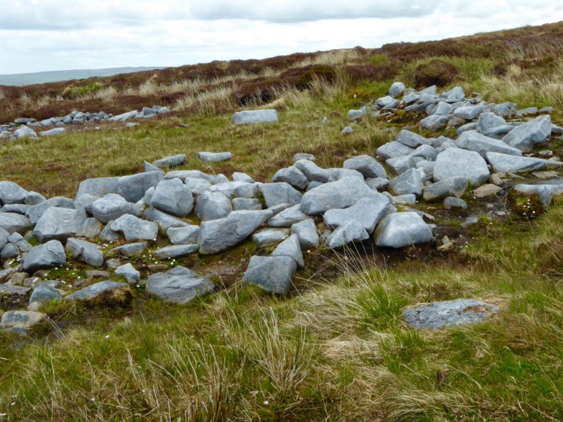 This enclosure surrounded a farmhouse