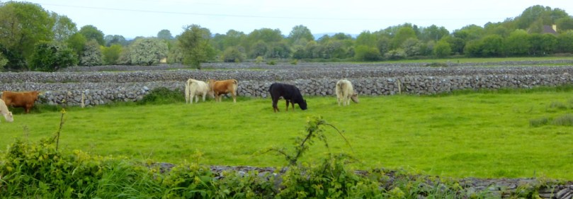 This scene, in Galway, could have happened 6,000 years ago in North Mayo
