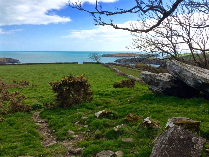 The Giant's Grave, Drishane. It bears numerous cupmarks on the upper surface of the 'capstone'