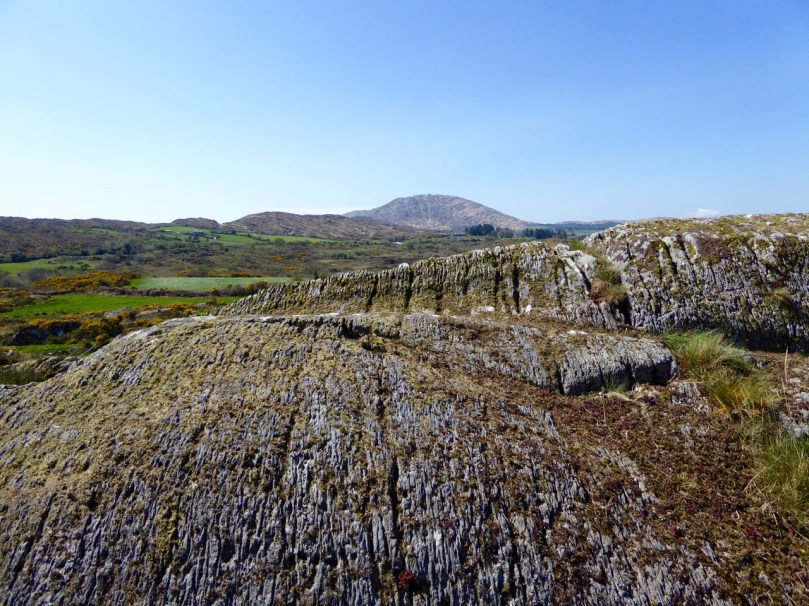 Rathruane More: the view from the rock art site includes a knoll with a row of cupmarks on its upper surface, and Mount Gabriel on the horizon