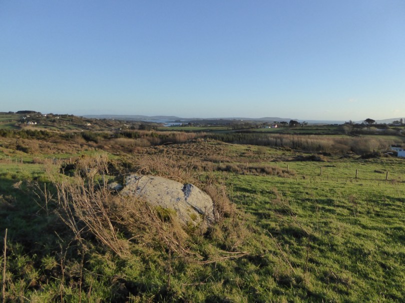 The newly-discovered Kilbronoge cupmarked stone. From it you can see Roaringwater Bay and a wedge tomb to the SE, and Mount Gabriel diametrically opposite in the NW