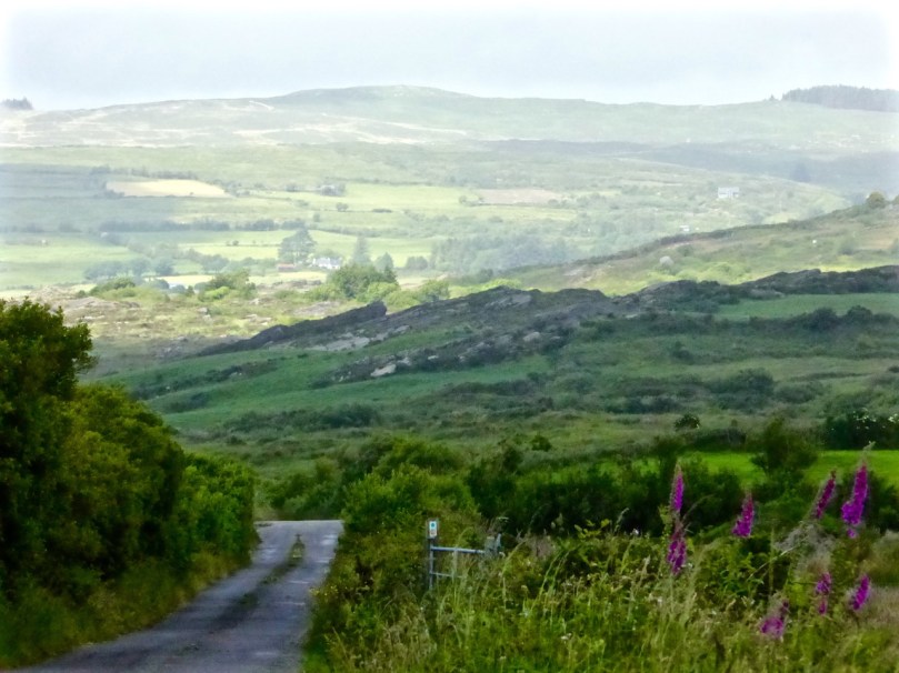 Light and shade: Lisheenacrahig Walk