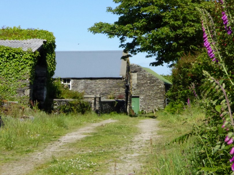 Along the Butter Road