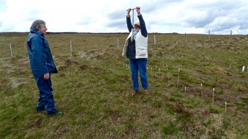 I take a hand at probing