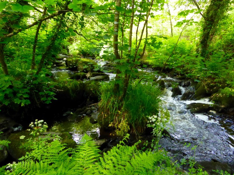 Roaringwater River, Lisheenacrahig Walk