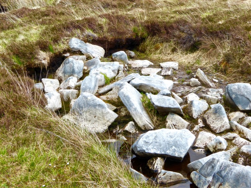 A section of wall disappears under the bog
