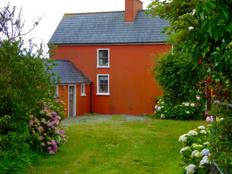 Orange you glad to see me?