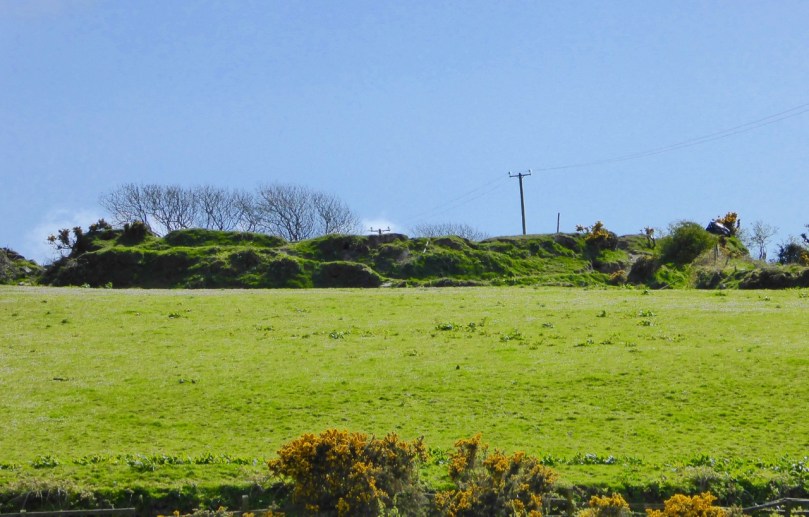 Ballycummisk Ring Fort