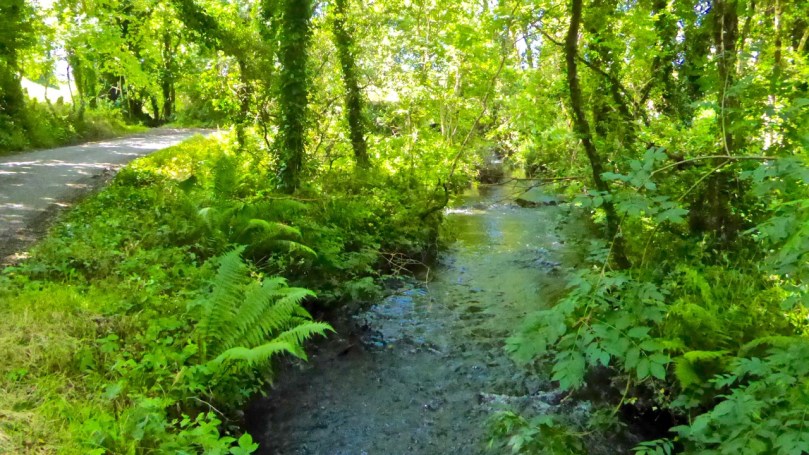 Greenmount Stream