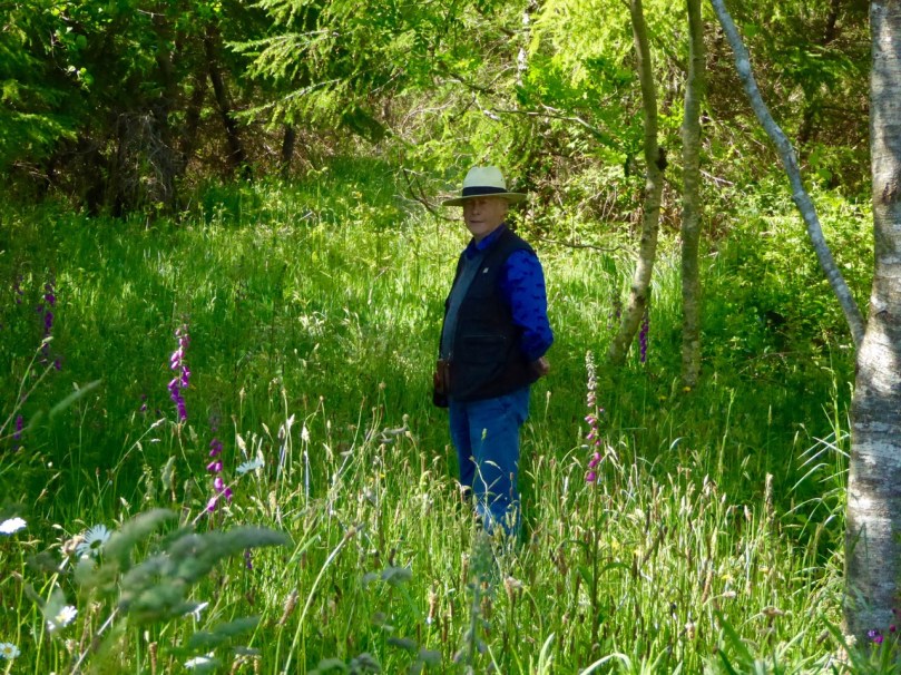 Path to wedge tomb, Kilbronogue