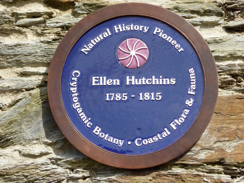 Ellen Plaque