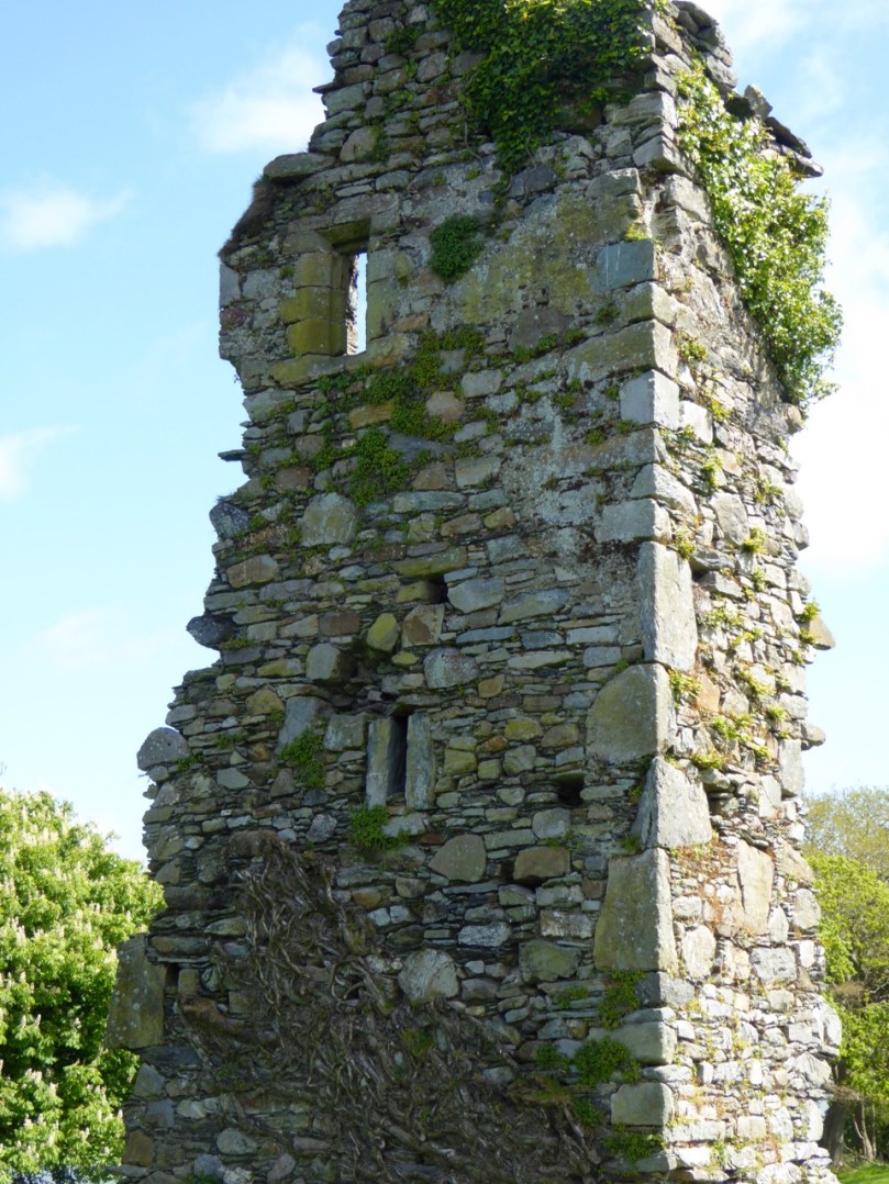 A vestige of a tower house at Abbeymahon, near Courtmacsherry, shows the best cut stones reserved for the quoins