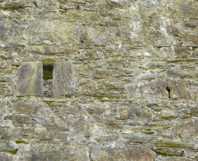 Carriganass Castle has many loops - the tiny one in this pictures seems to small to be useful