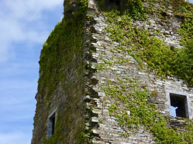 At Carriganass Castle most of the quoins have disappeared