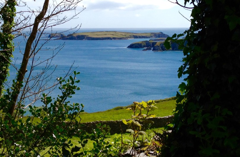 The entrance to Castle Haven. Horse Island is separated from the mainland by the charmingly named Flea Channel.