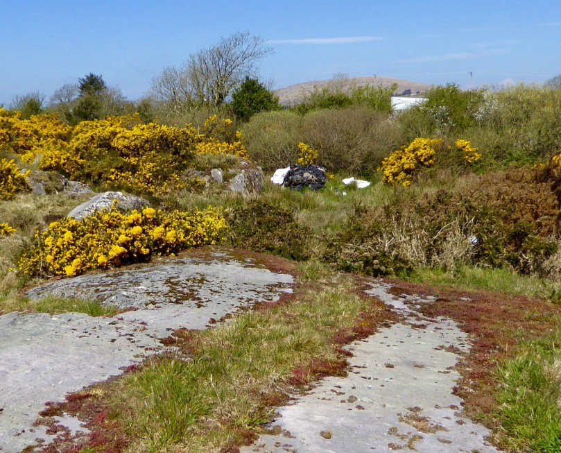 The cairn on Mount Corrin is visible from this panel of rock art at Rathruane