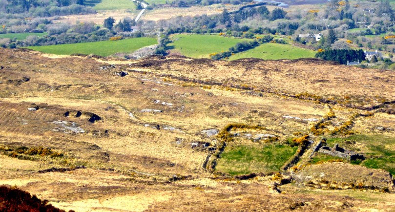 P1040194 - Version 2