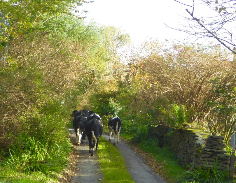 Example of 'other traffic'