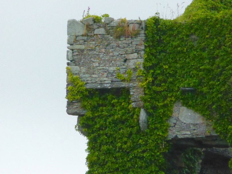 Raheen Corner machicolation