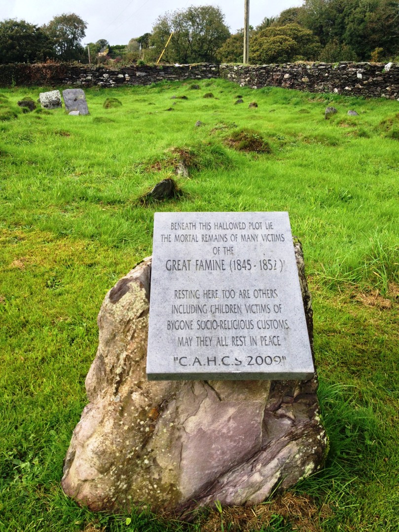 2013-10-20 13.44.38 HDR