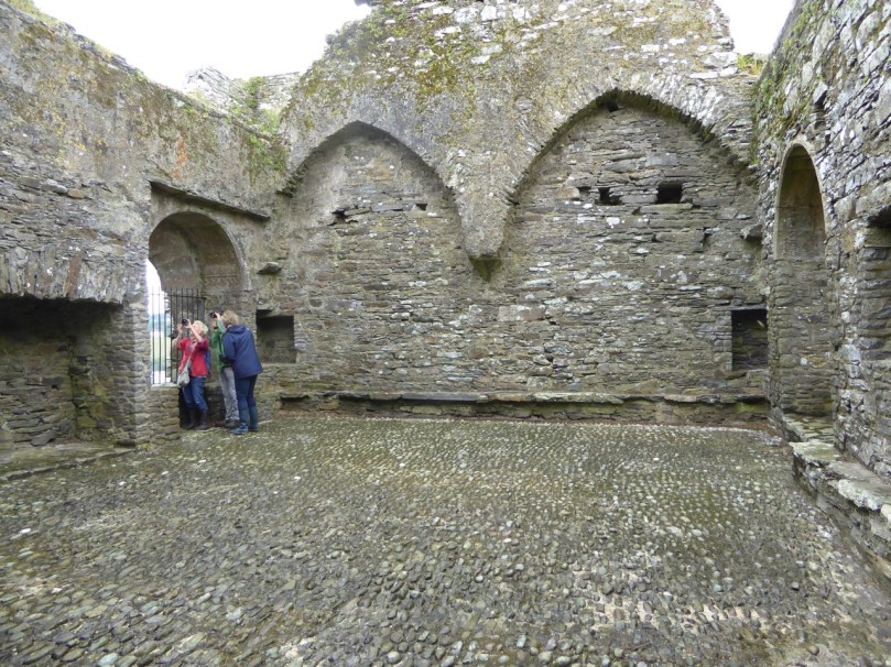 The Great Hall at Ballinacarriga. But what are we all looking at?