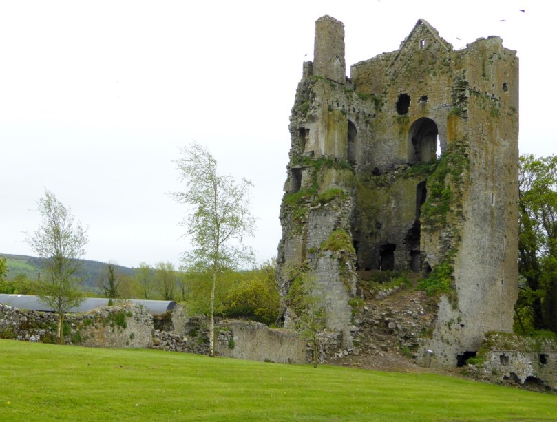 Cullohill Castle - floor levels clearly visible, plus the addition of a later firepalce that obscures a window