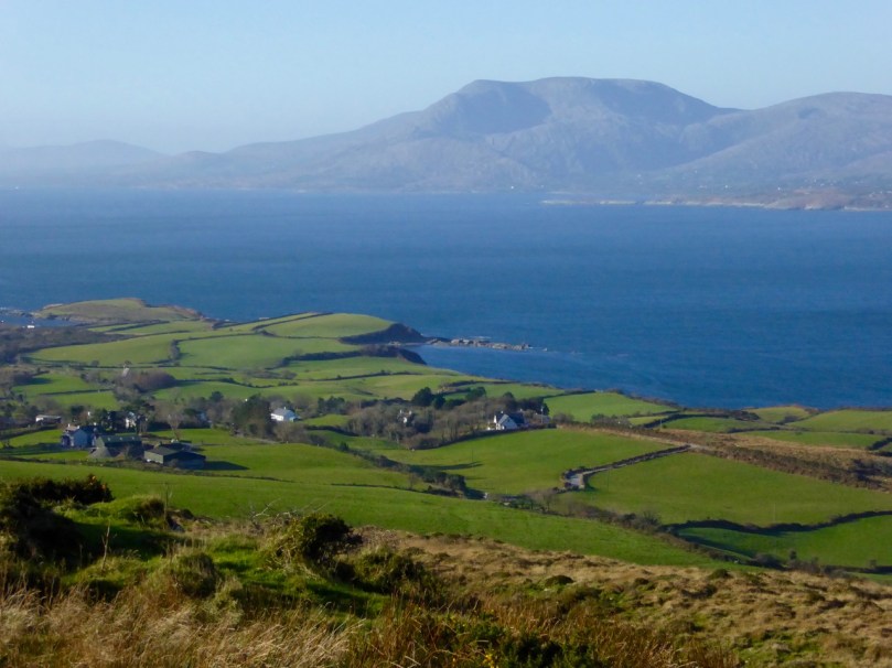 Winter fields on Bantry Bay