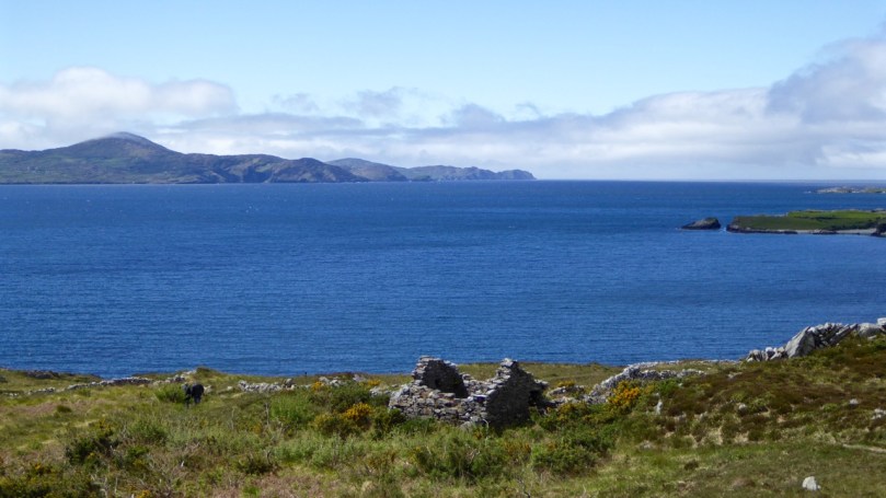 Bardic School Loop, Sheep's Head