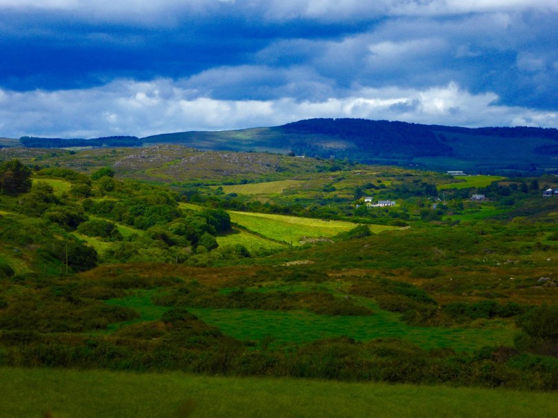 Sun and shadow - the quintessential West Cork lighting conditions