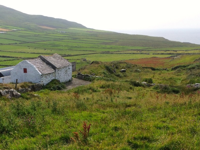 Near Dunlough Bay, on the way to Three Castle Head