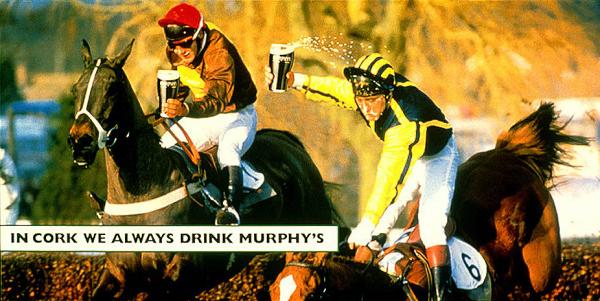 murphy's irish stout