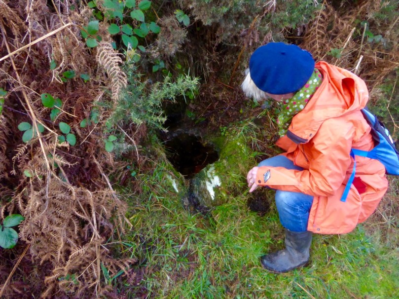 Amanda at Tobar Breedy