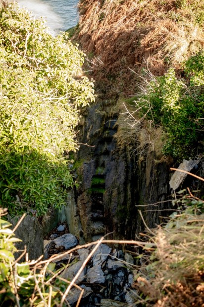 Pirate Steps Canty's