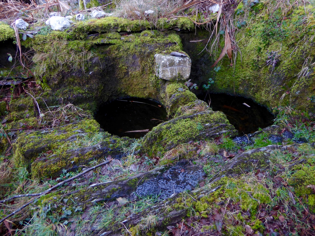 St Lachtan's holy well