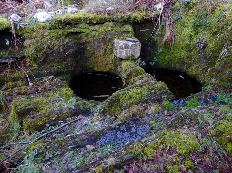 St Lachtan's holy well