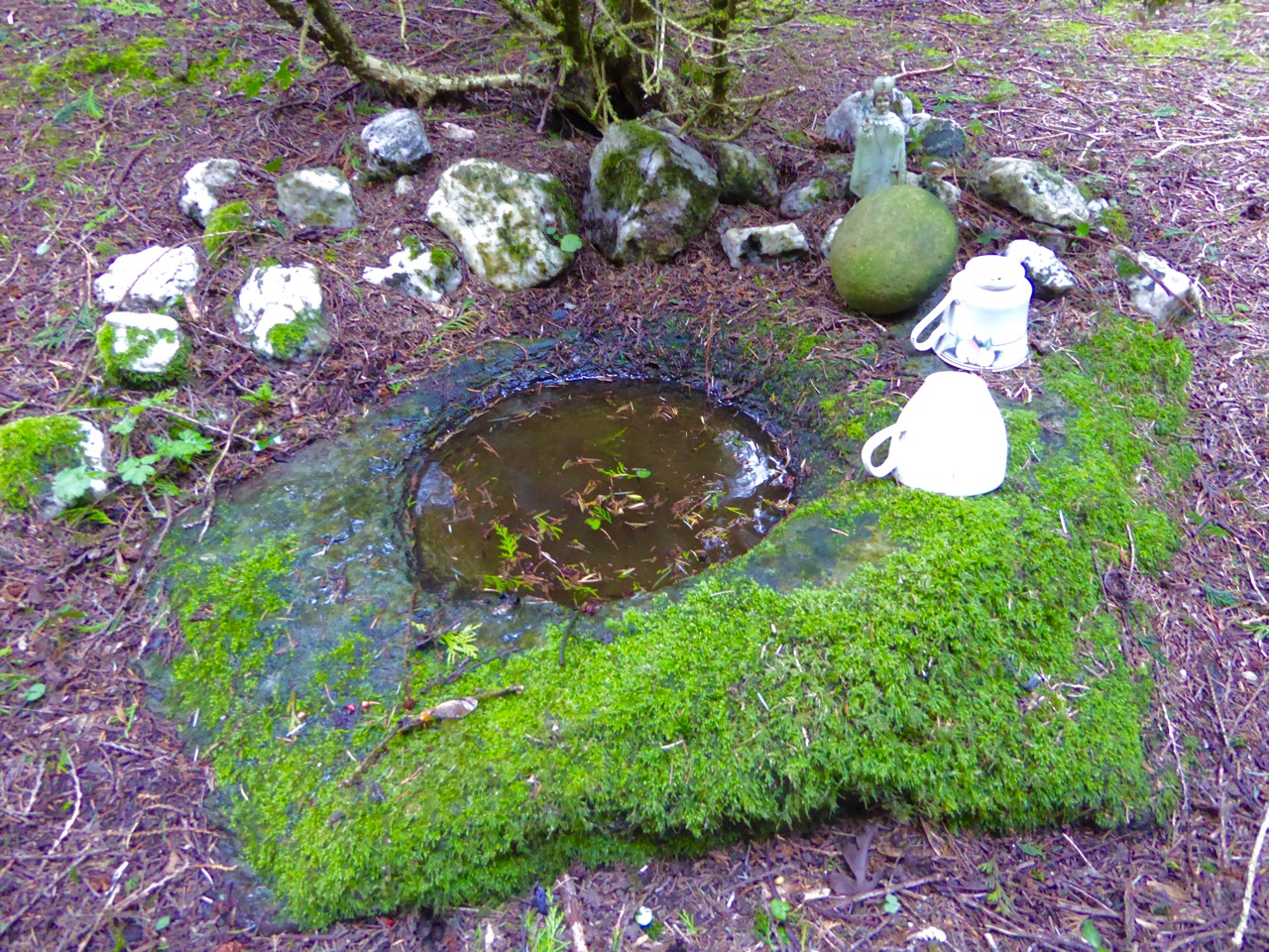 Tiny holy well in the woods