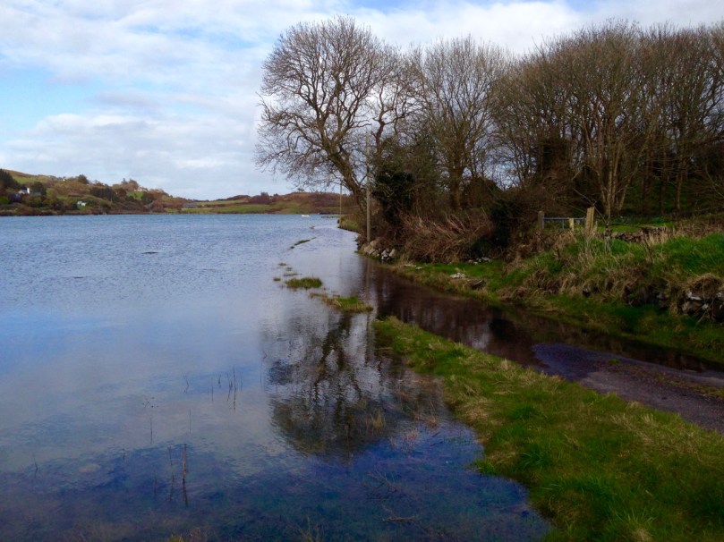 the road to julian's house