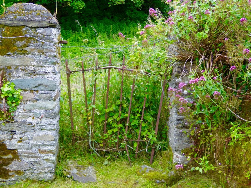 Castlehaven graveyard