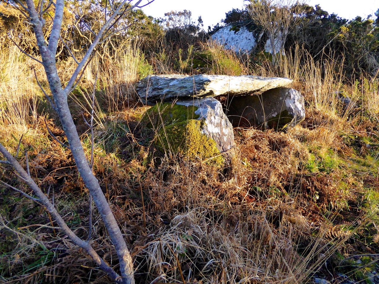 kilbronogue-wedge-tomb