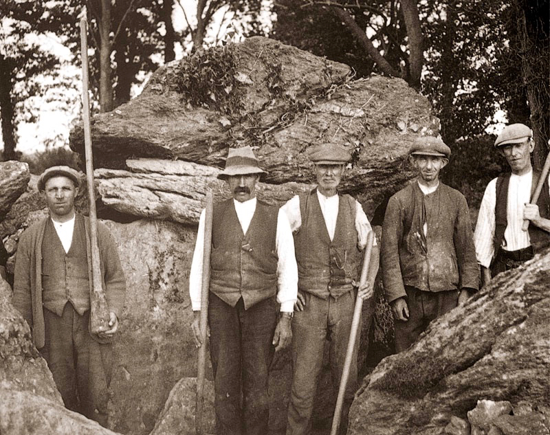 labercalle excavators