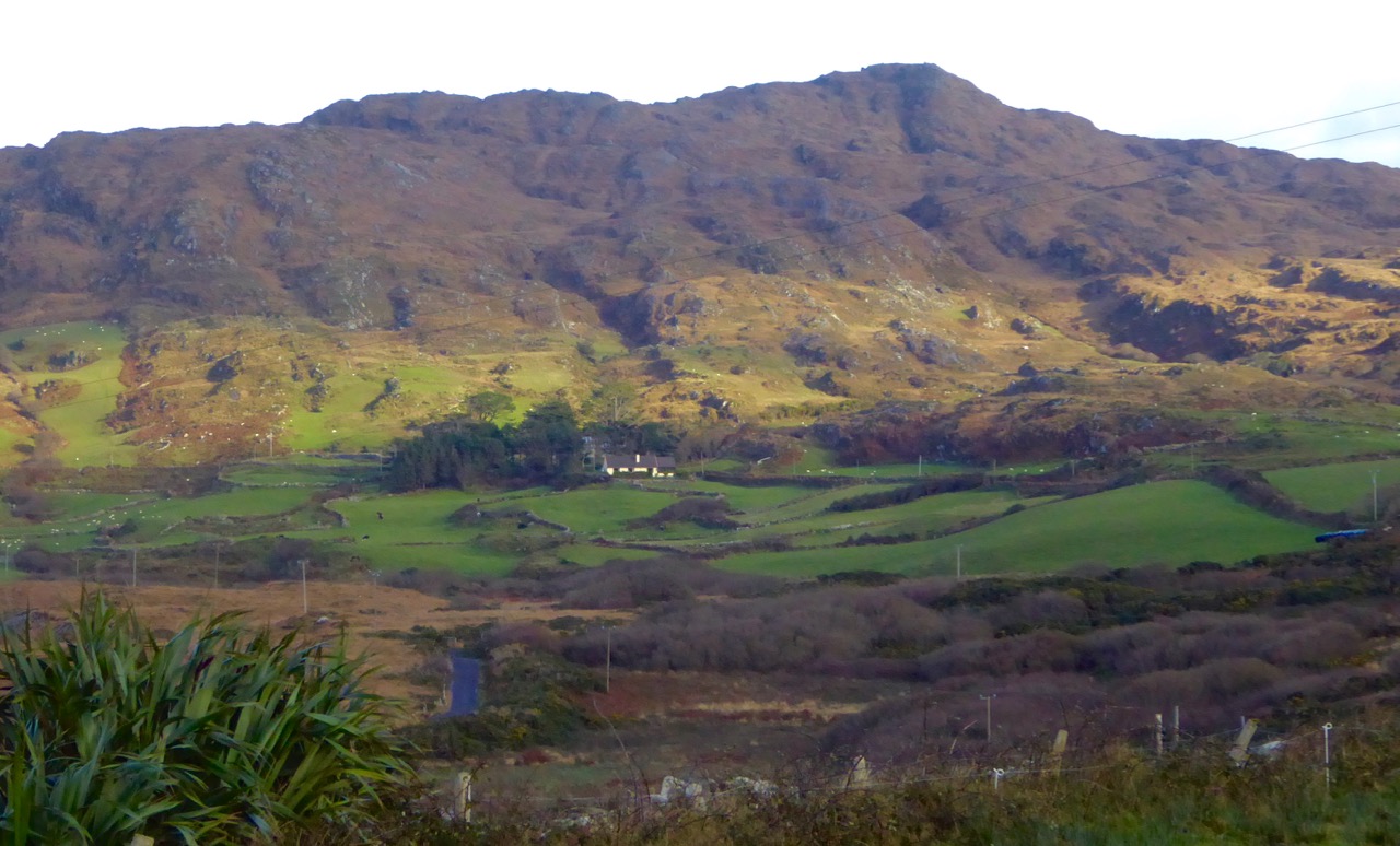 View east from the enclosure