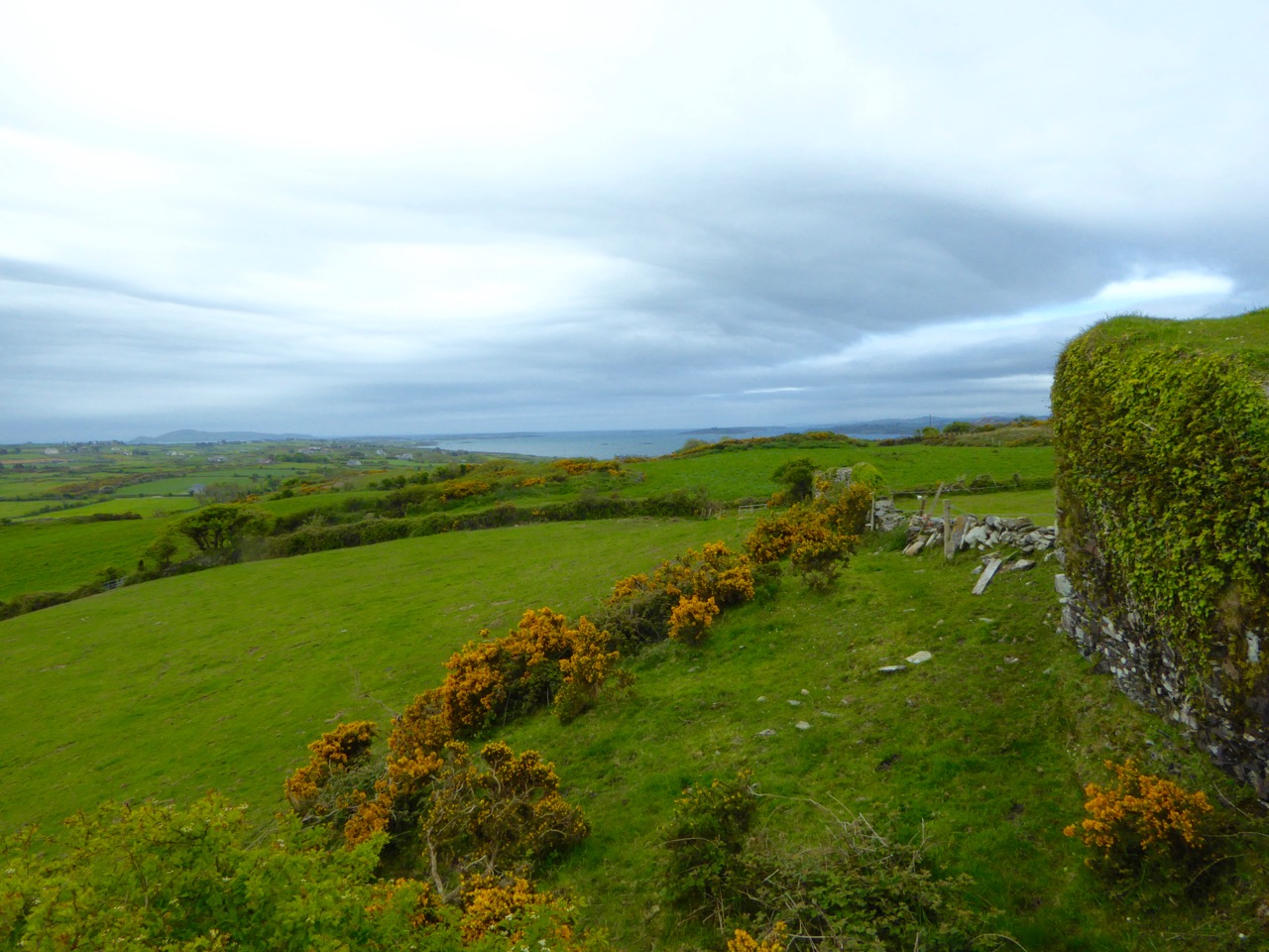 Aghadown Belvedere and tower house siting