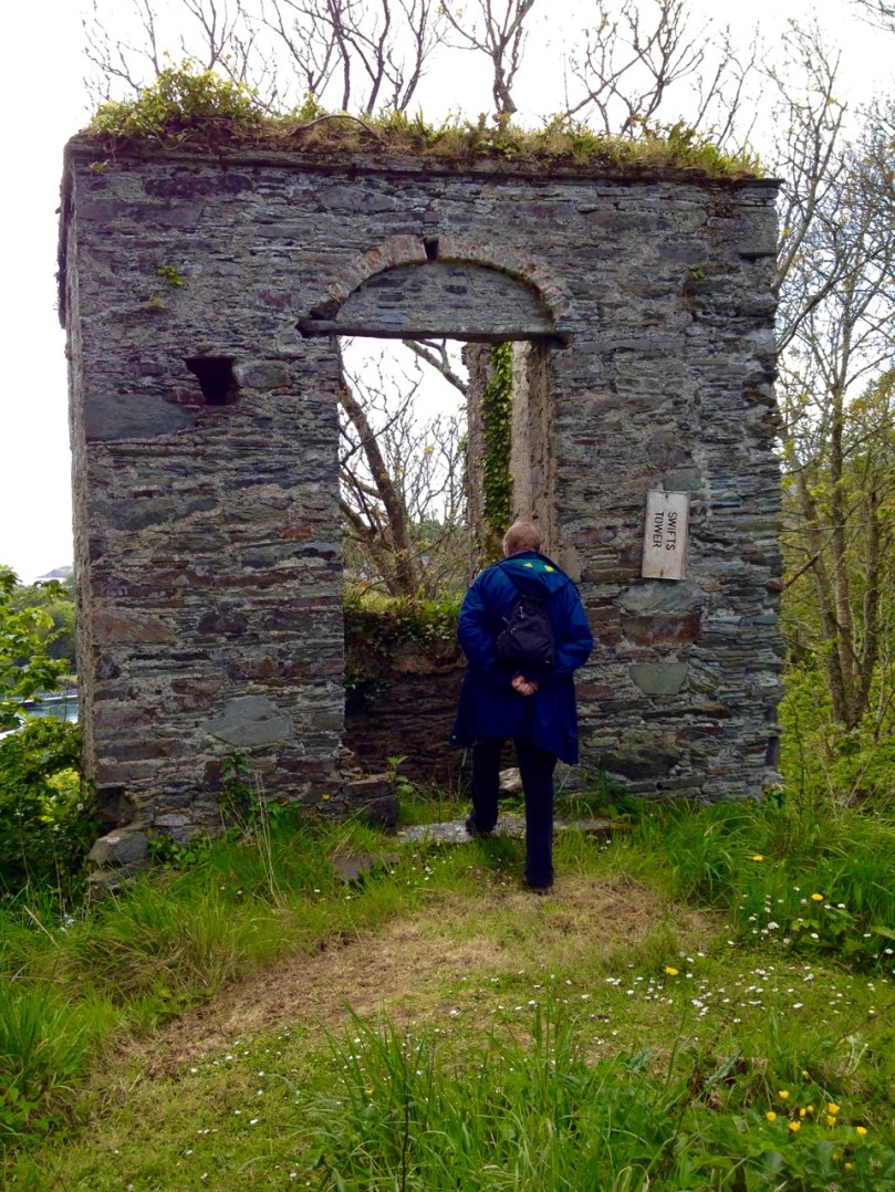 Swift's Tower, Belvedere