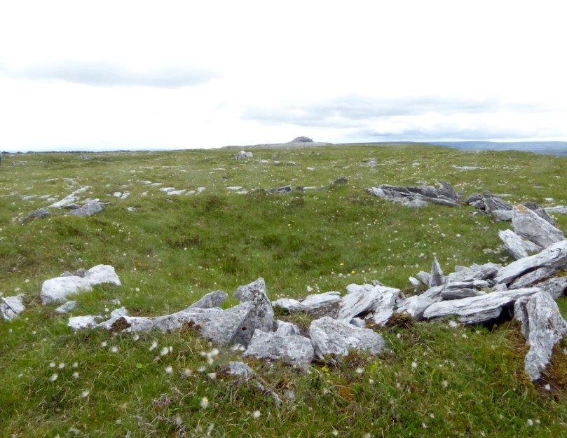 Hut site and cairn