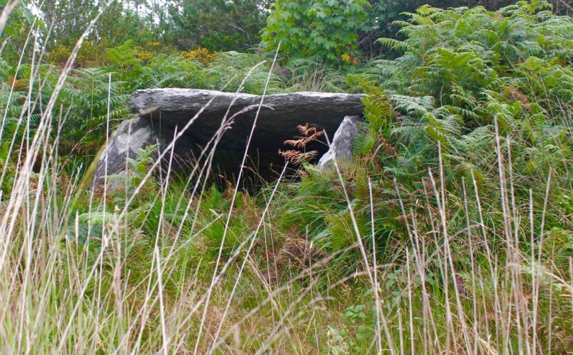 Kilbronogue Wedge Tomb