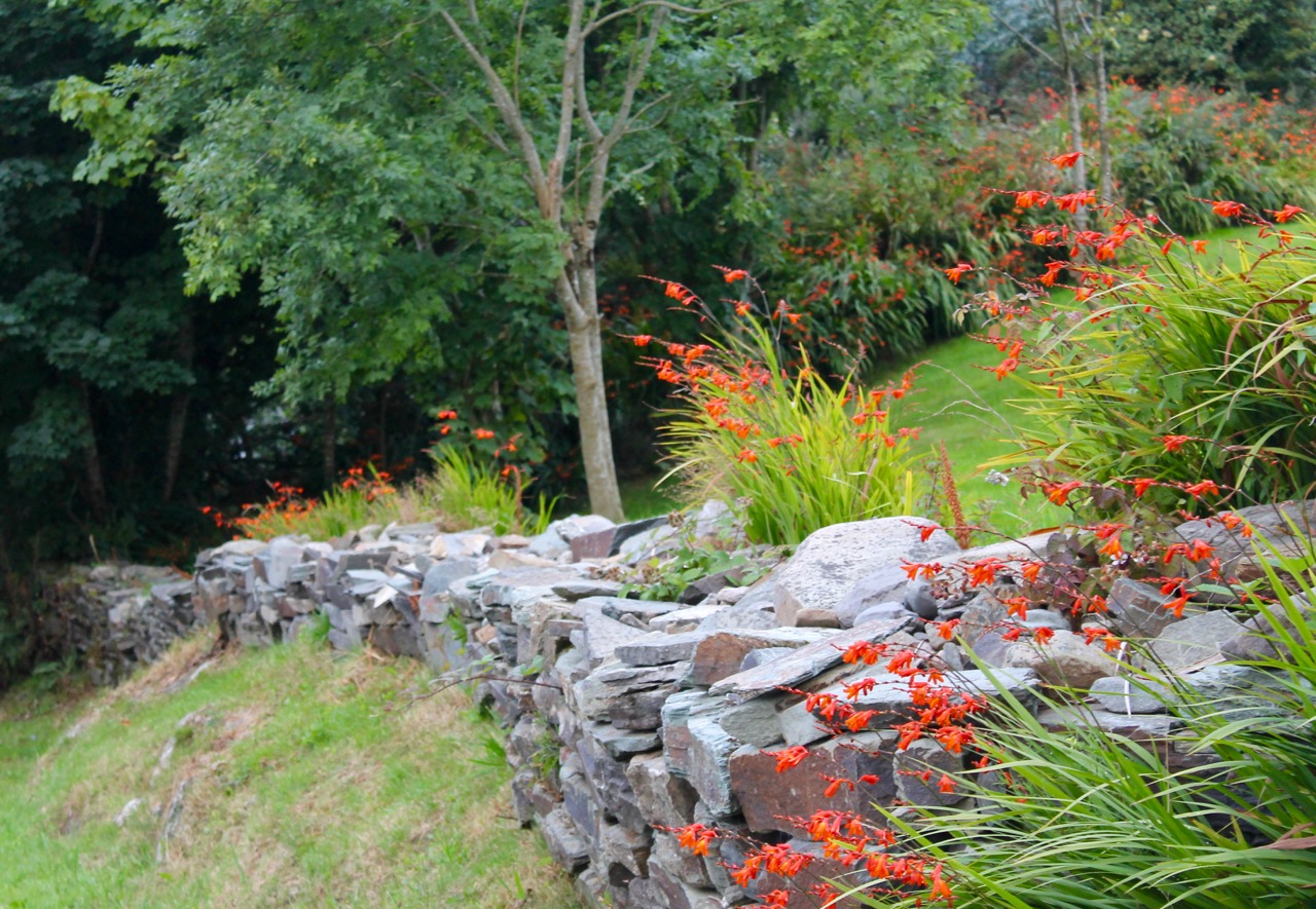 Rock wall with Montbretia