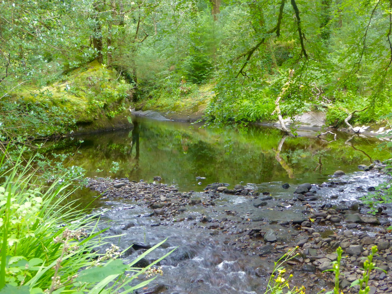 Still and Moving stream