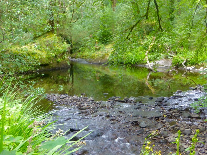 Still and Moving stream