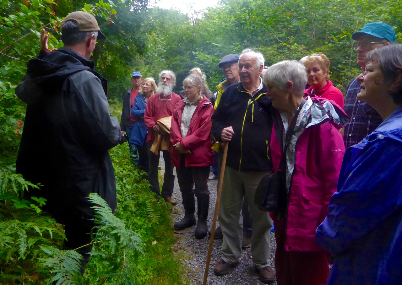 Teaching 2: Guelder Rose